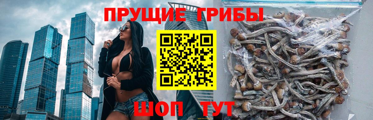 Когалым  купить   Вход с VPN  Галлюциногенные грибы ЛСД 